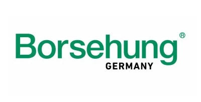 Borsehung